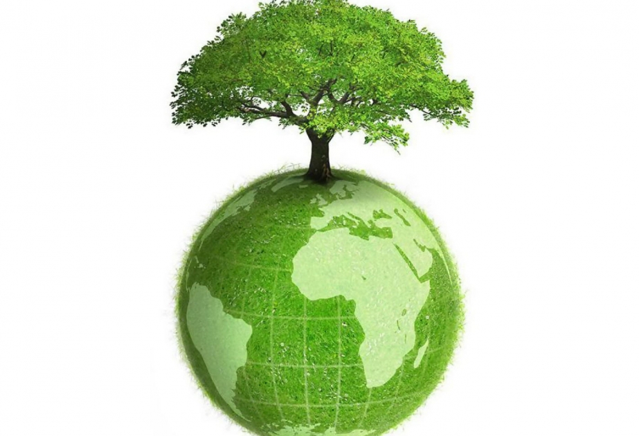 15 aprel - ekoloji biliklər günüdür