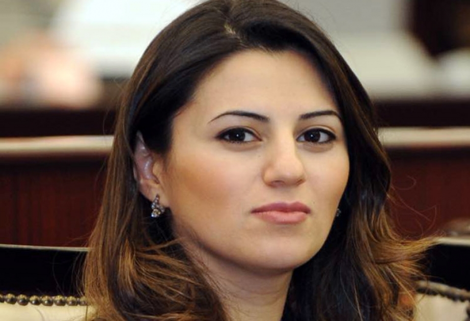 Avropa Parlamentinin “erməni soyqırımı” ilə bağlı qətnaməsi regionda sülhə xidmət etmir