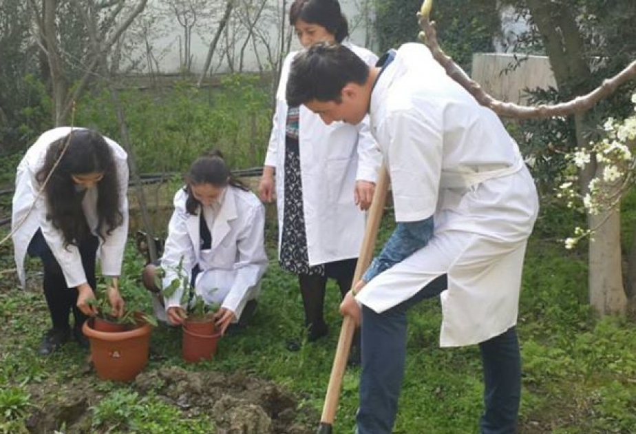 “Təbiətə töhfəmiz” adlı yaşıllaşdırma aksiyası