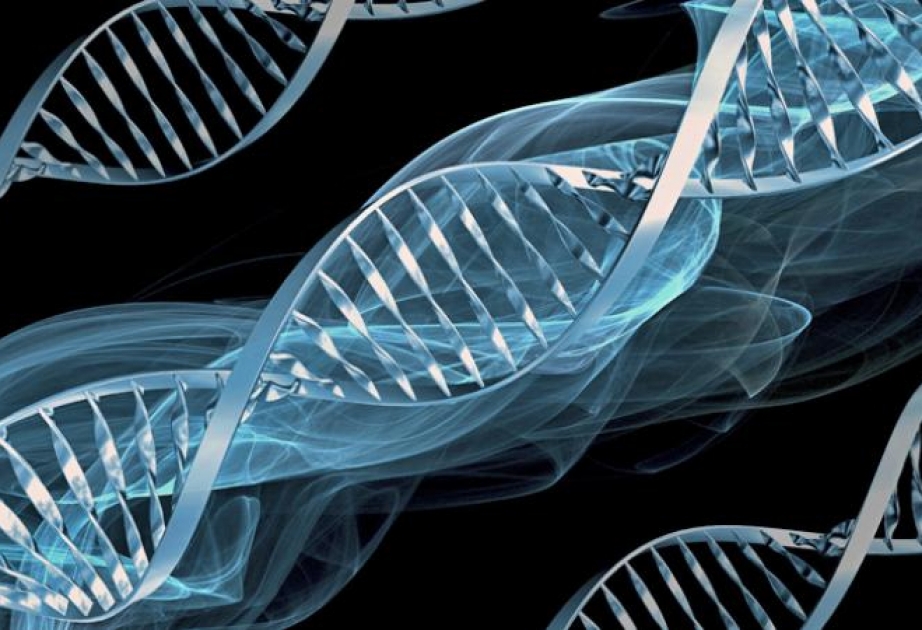Сегодня - Международный день ДНК