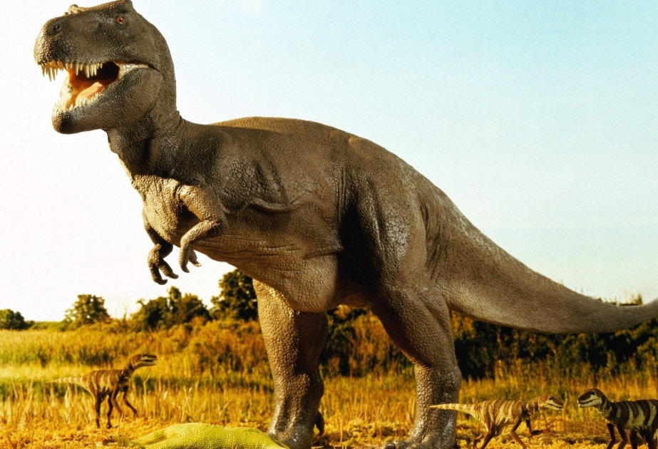 В Канаде обнаружена окаменелая тропа динозавров