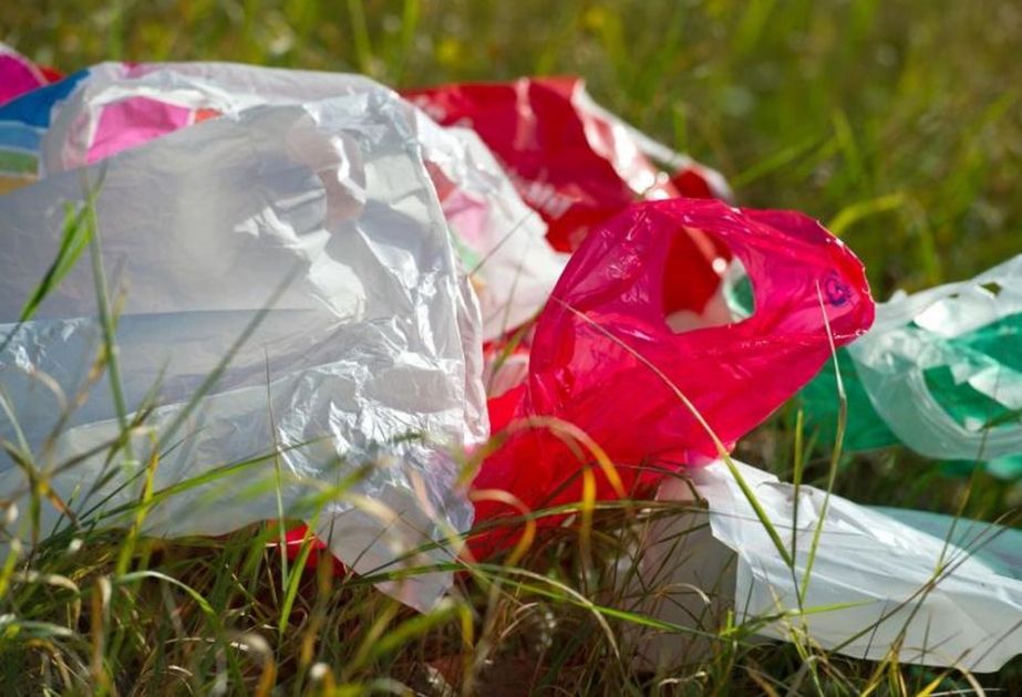 EU begrenzt Verbrauch von Plastiktüten