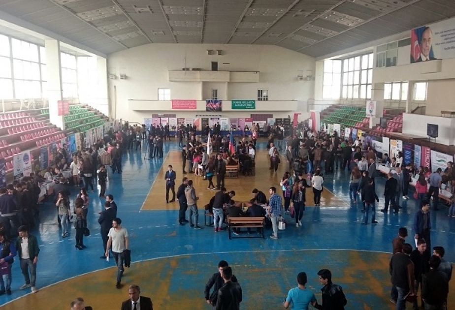 Проведена очередная ярмарка труда для выпускников и старшекурсников