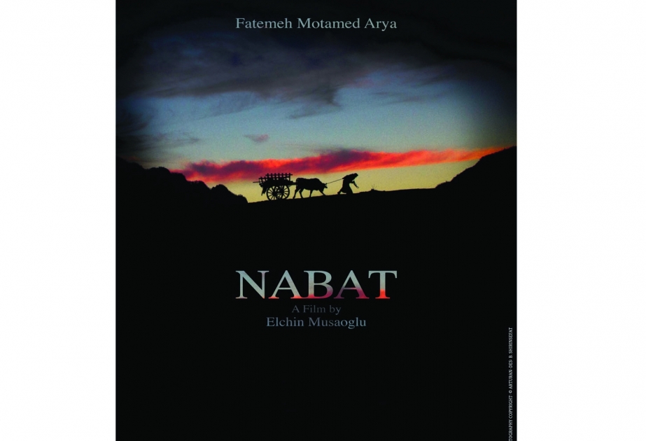 "Nabat" film wins award in Iran