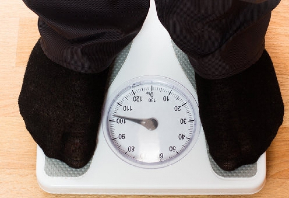 Europe 'set for obesity epidemic'