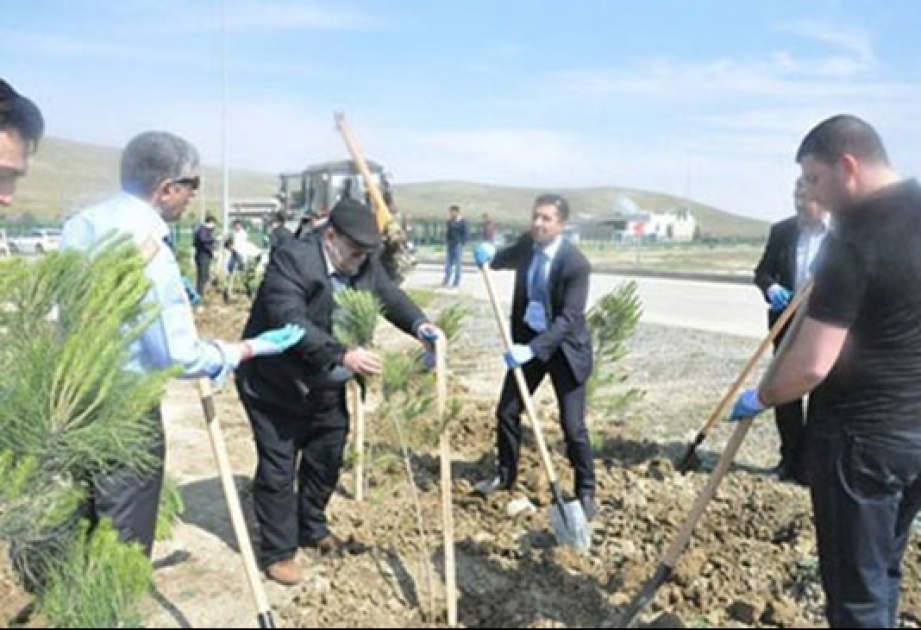 Ümummilli Liderin anadan olmasının 92-ci ildönümü ilə əlaqədar rabitəçilər ağacəkmə kampaniyası keçirib