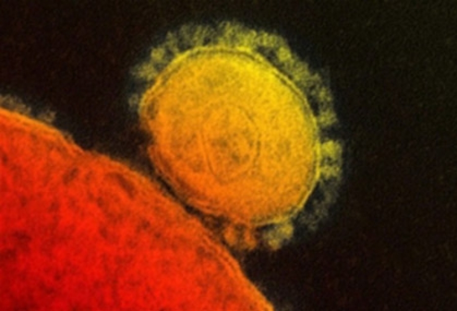 South Korea reports 6th death from Mers, biggest single-day jump in infections