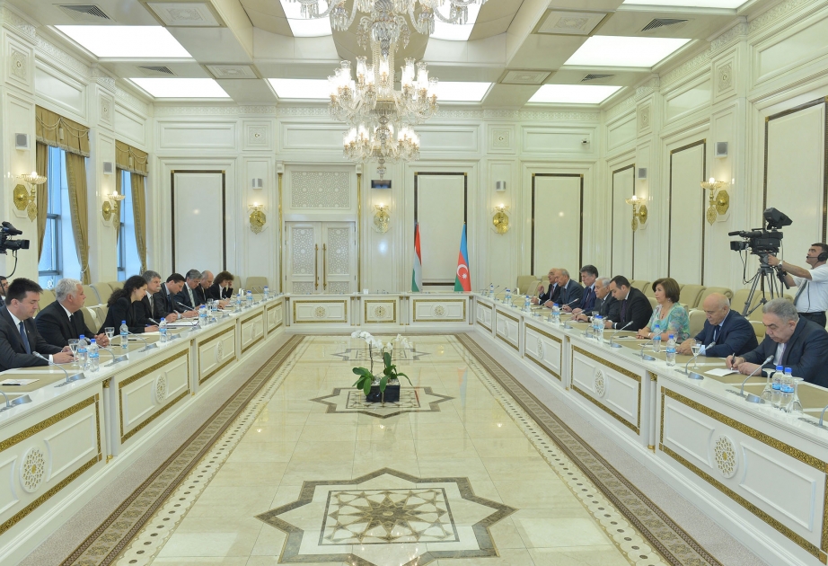 В Милли Меджлисе состоялся обмен мнениями по азербайджано-венгерским связям
