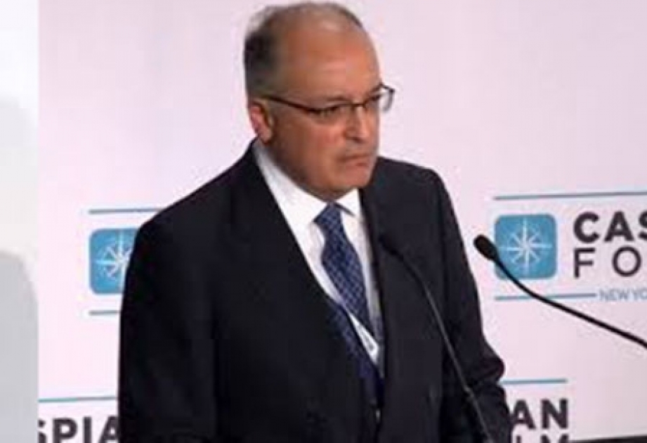 Эльшад Насиров: «Турецкий поток» не составляет конкуренции «Южному газовому коридору»