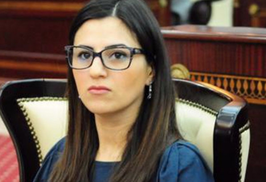 Sevinc Fətəliyeva: Biz çalışmalıyıq ki, reytinq əvəzinə etik normalar qalib gəlsin