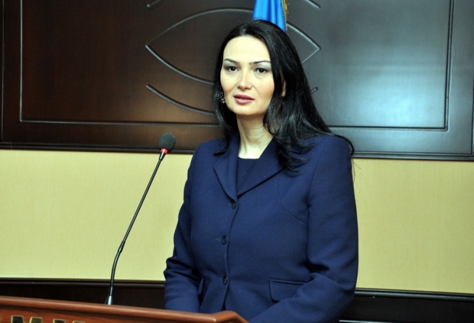 Milli Məclisin deputatı AŞPA-nı beynəlxalq təşkilatların qəbul etdiyi qətnamələrə hörmətlə yanaşmağa çağırıb