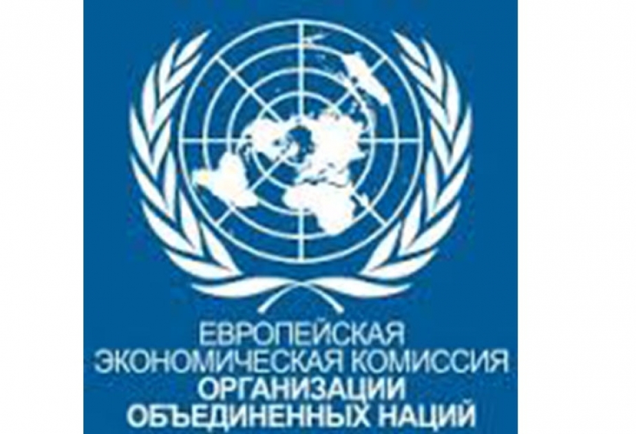 Еэк оон. Европейская экономическая комиссия ООН. Департамент по экономическим и социальным вопросам ООН. ЕЭК ООН логотип.