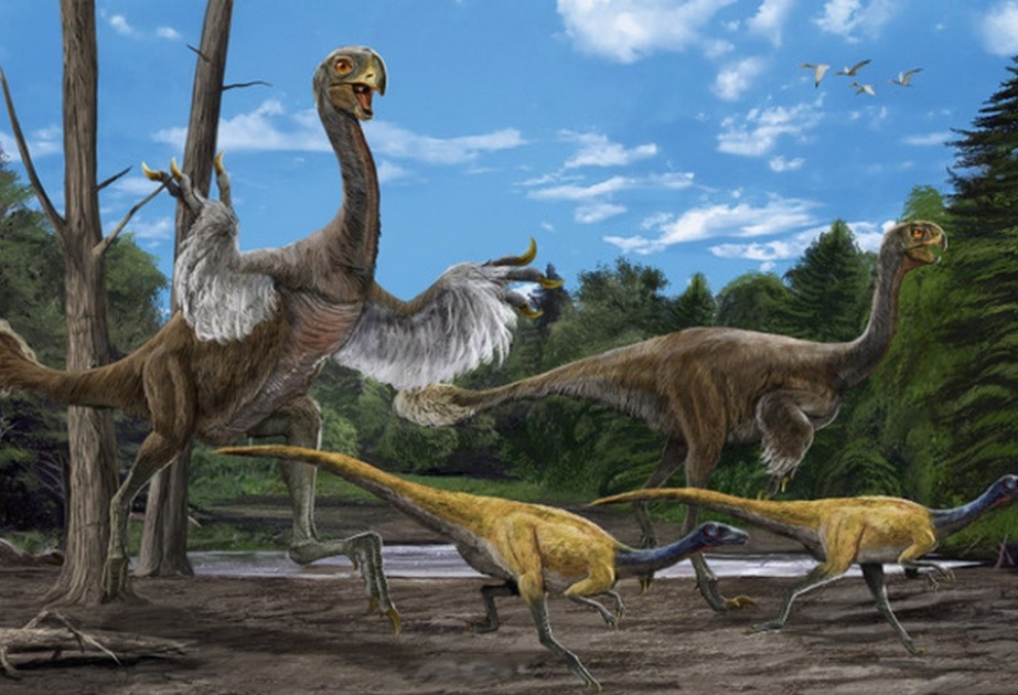 Chinesische Forscher haben eine neue Dinosaurier-Art entdeckt