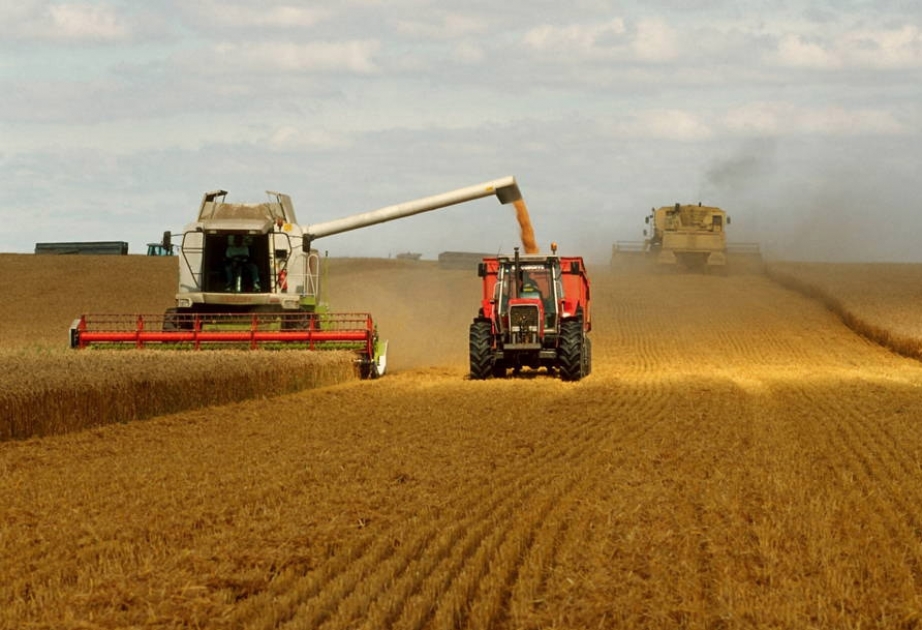 FAO: World crop prospects positive in 2015