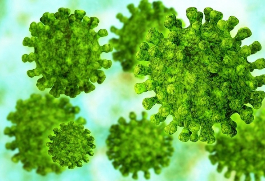 В Азербайджане отсутствует серьезная угроза распространения вируса MERS