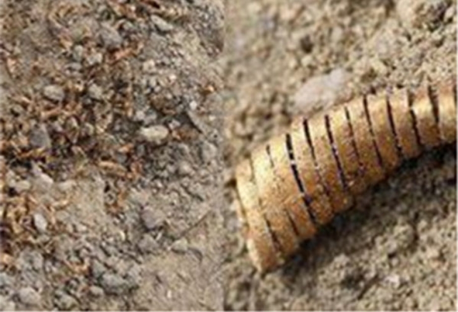 2,000 Bronze Age gold spirals found in Denmark