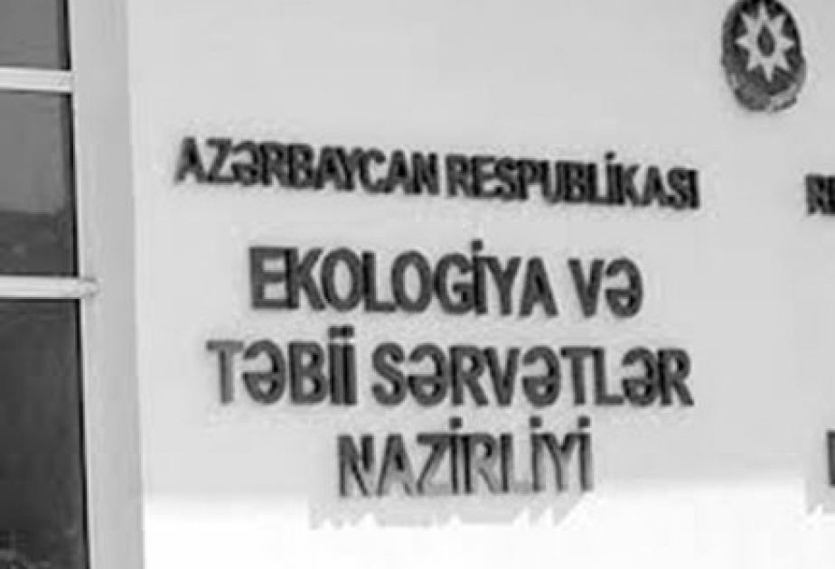 Son 3 ayda ETSN-in “Qaynar xətt”inə 955 şikayət daxil olub