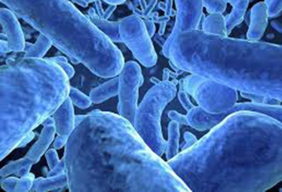 Wenn Bakterien gegen Antibiotika resistent werden