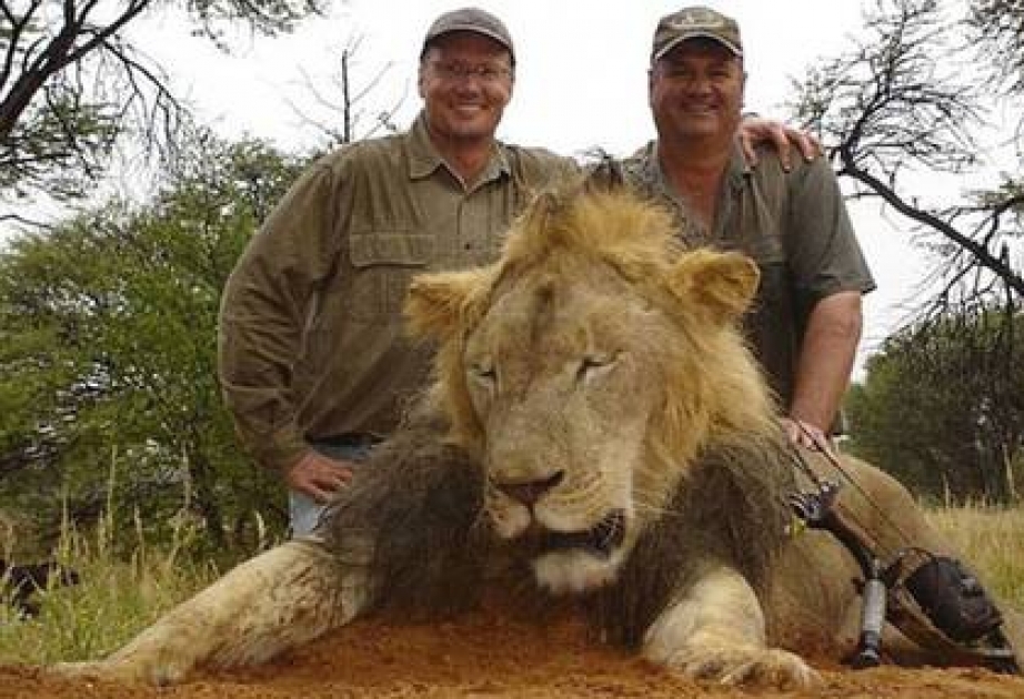 American dentist killed Zimbabwe's beloved lion Cecil