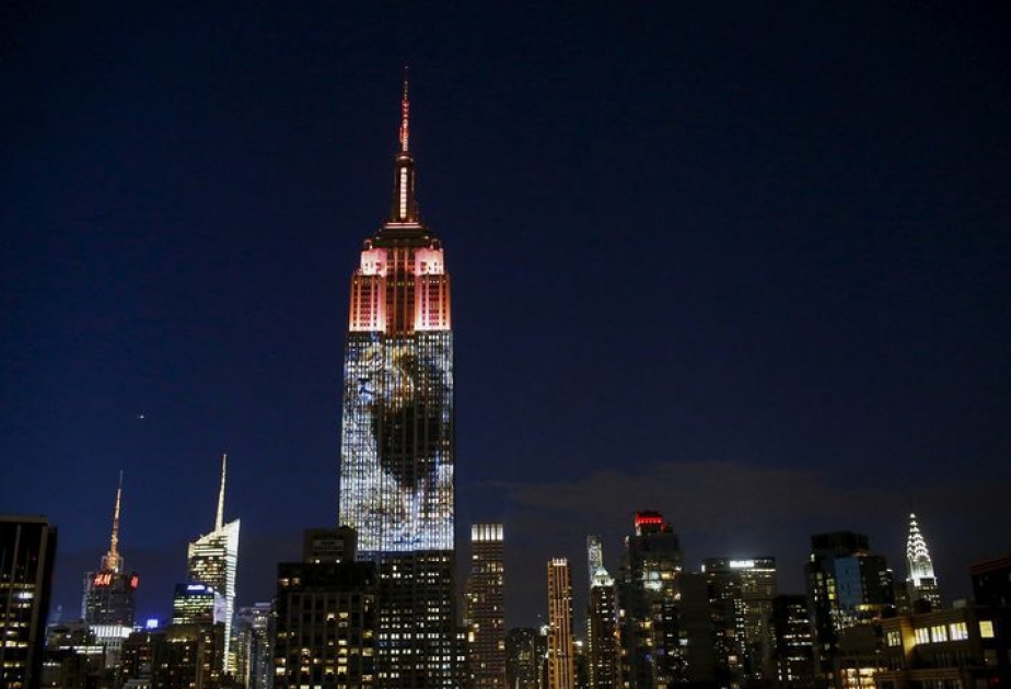 Photos of endangered animals shine on Empire State Building