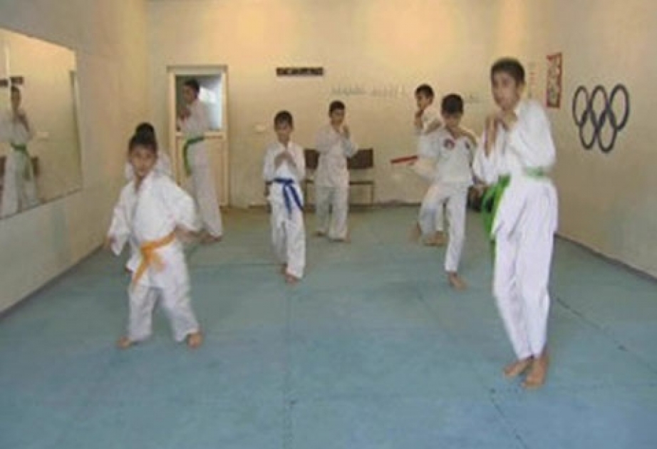 Lənkəranlı karateçi Türkiyədə keçirilən beynəlxalq turnirdə gümüş medal qazanıb