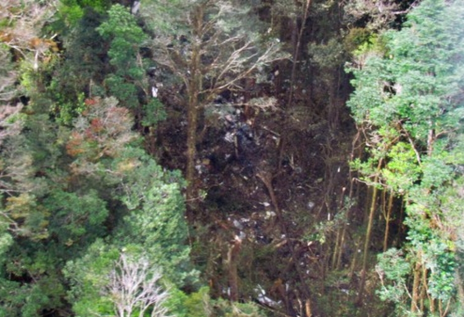 Indonesian National Search and Rescue Agency releases photos of crashed airplane