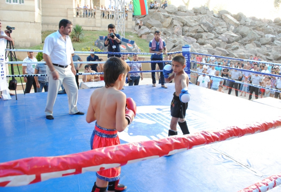 Kikboks üzrə zona birinciliyi Tərtər idmançılarının qələbəsi ilə yekunlaşıb