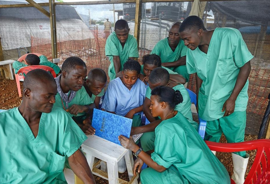 WHO to shake up global response to epidemics after Ebola