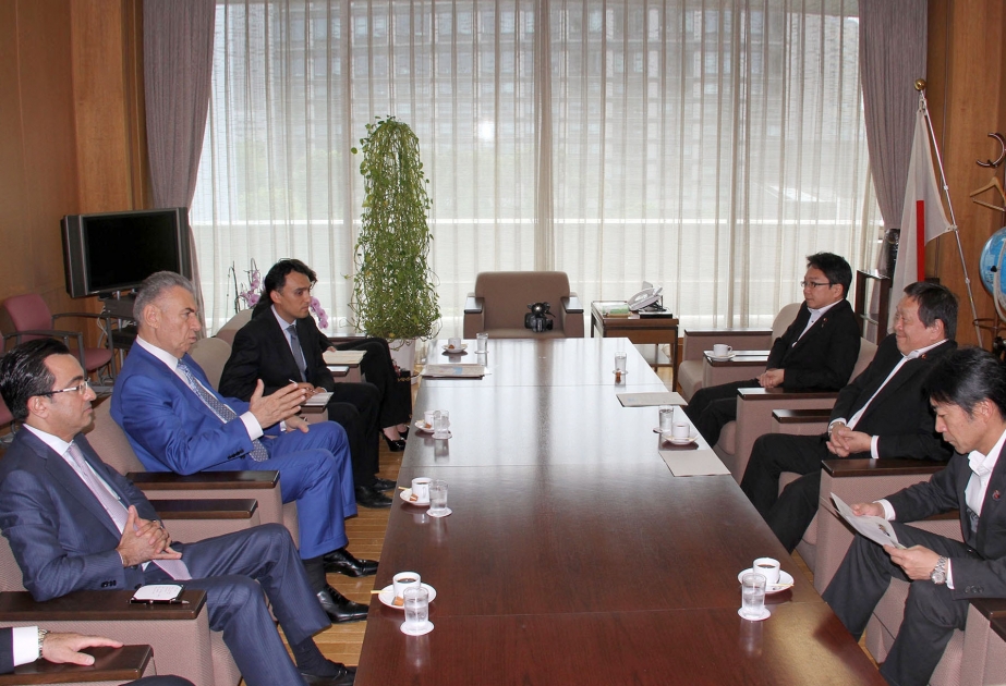 New Azerbaijan Party, Japanese Liberal Democratic Party VIDEO
