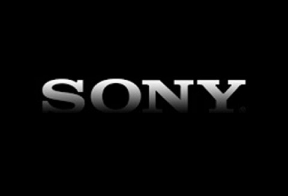 Sony könne sich eine Partnerschaft mit klassischen Autoherstellern vorstellen