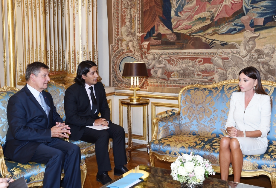 Treffen der First Lady von Aserbaidschan mit dem Generalsekretär der Präsidialverwaltung von Frankreich