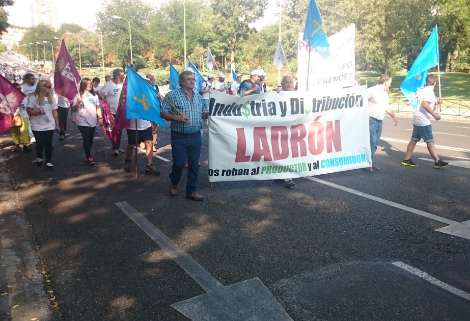 Spain: Angry dairy farmers protest low milk prices