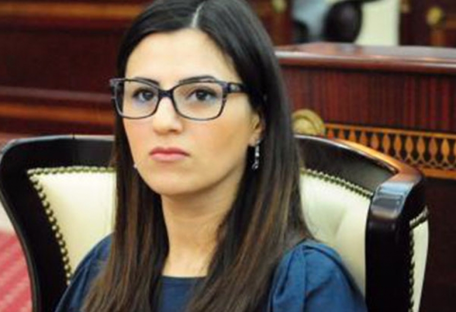 نائبة أذربيجانية تشارك في جلسة لجنة الجمعية البرلمانية للمجلس الأوروبي
