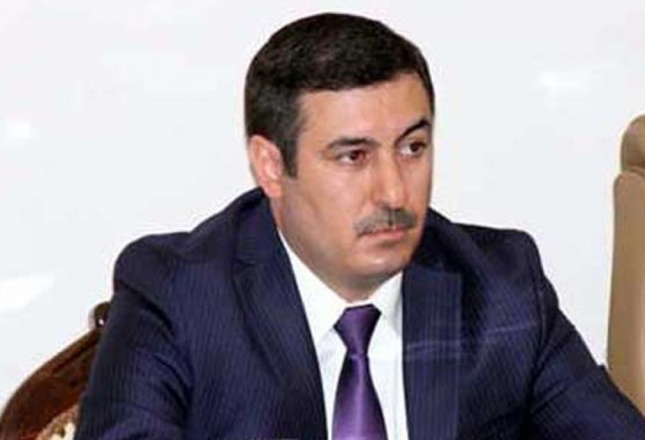 Rufiz Qonaqov: Avropa Parlamenti ölkələrə qarşı ikili standartlarla çıxış edir