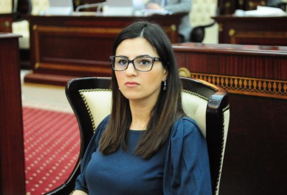 Sevinc Fətəliyeva: Avropa Parlamentinin qəbul etdiyi son əsassız qətnamə Azərbaycana qarşı təzyiq cəhdlərinin davamıdır