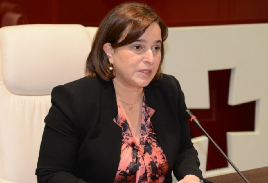 Manana Kobaxidze: Azərbaycan bizim strateji tərəfdaşımızdır