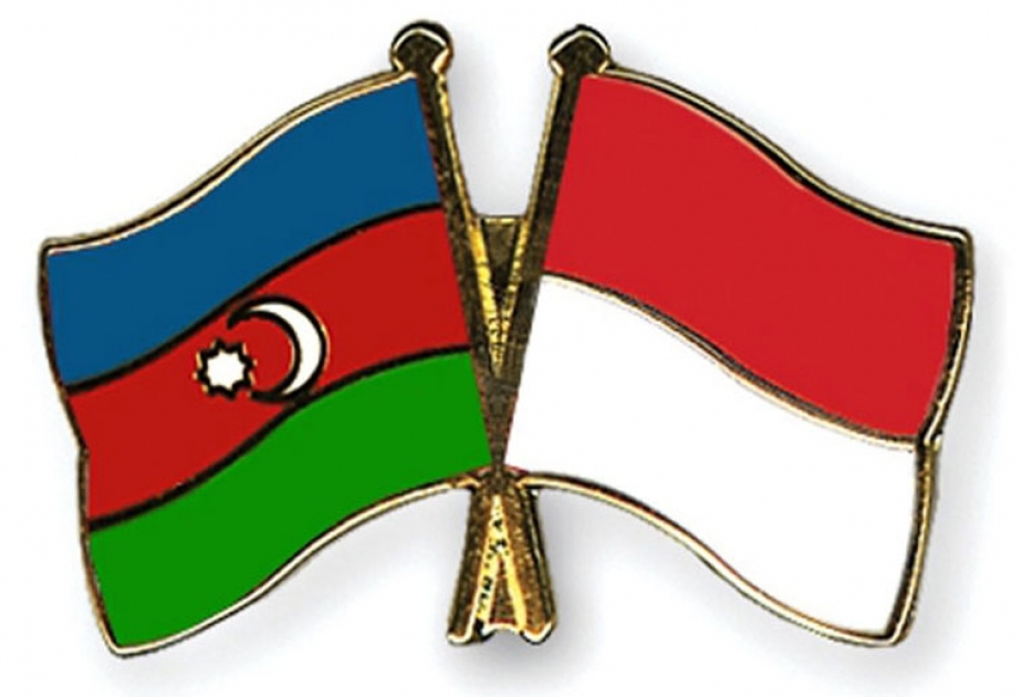 Azerbaijan`s Minister of Energy meets Indonesian delegation