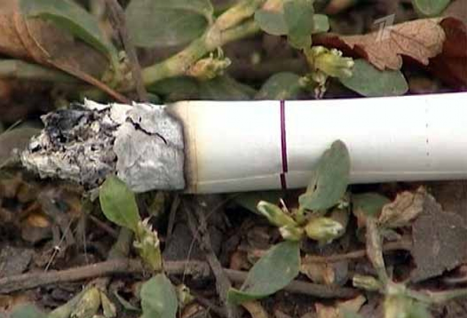 Paris to fine smokers for leaving cigarette butts on street