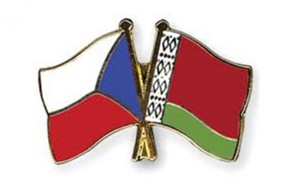 Заоралек: ЕС должен сделать шаг навстречу Минску