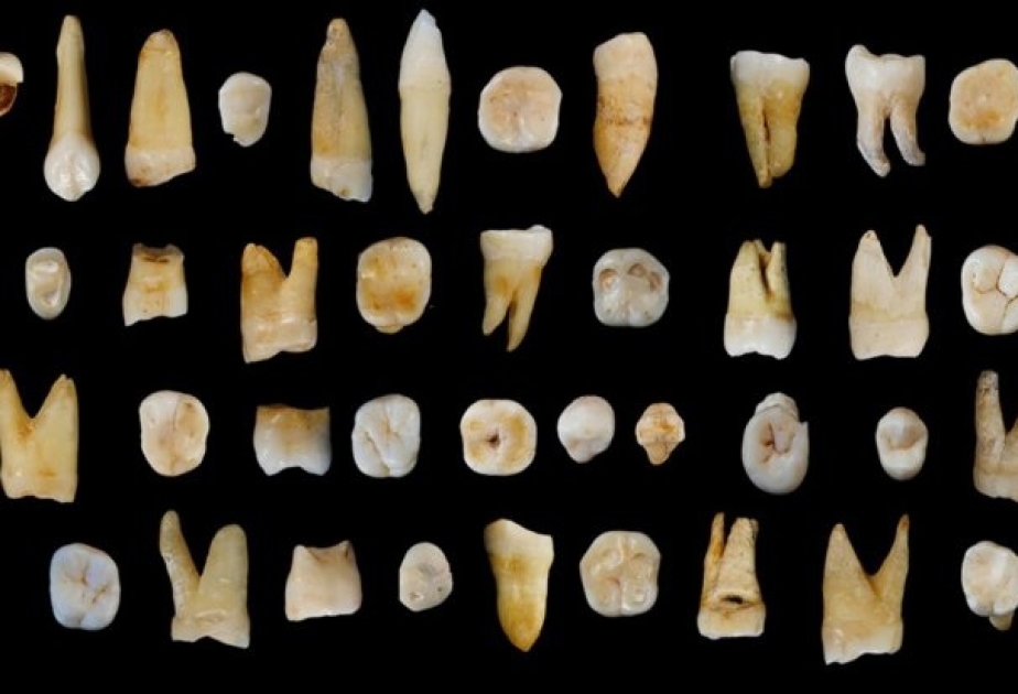 Zähne aus einer Höhle in China verblüffen Forscher