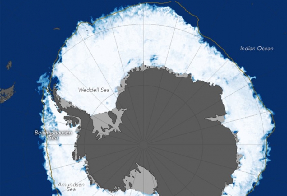 Meereis der Antarktis widersetzt sich dem Klimawandel