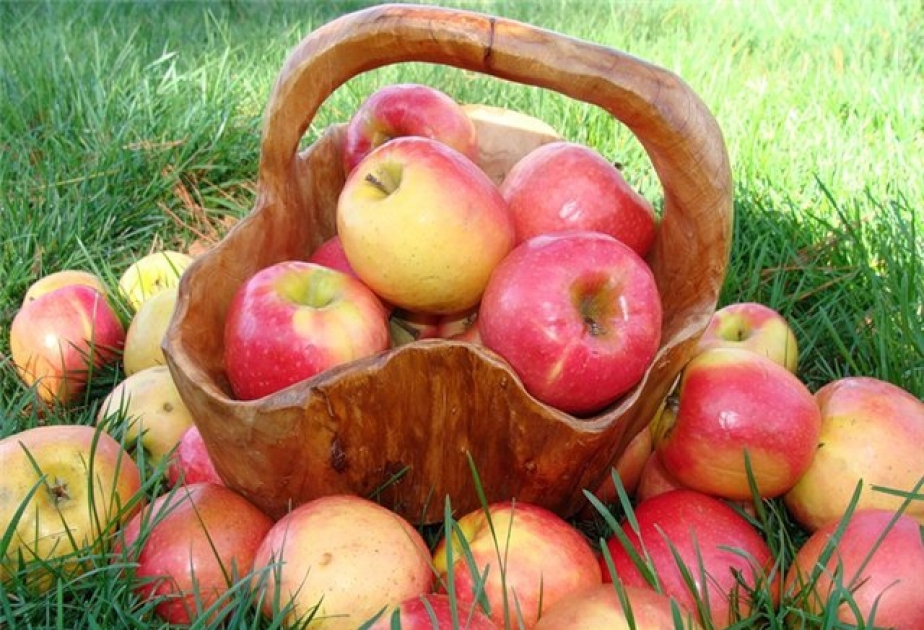 21 октября - Всемирный день яблок