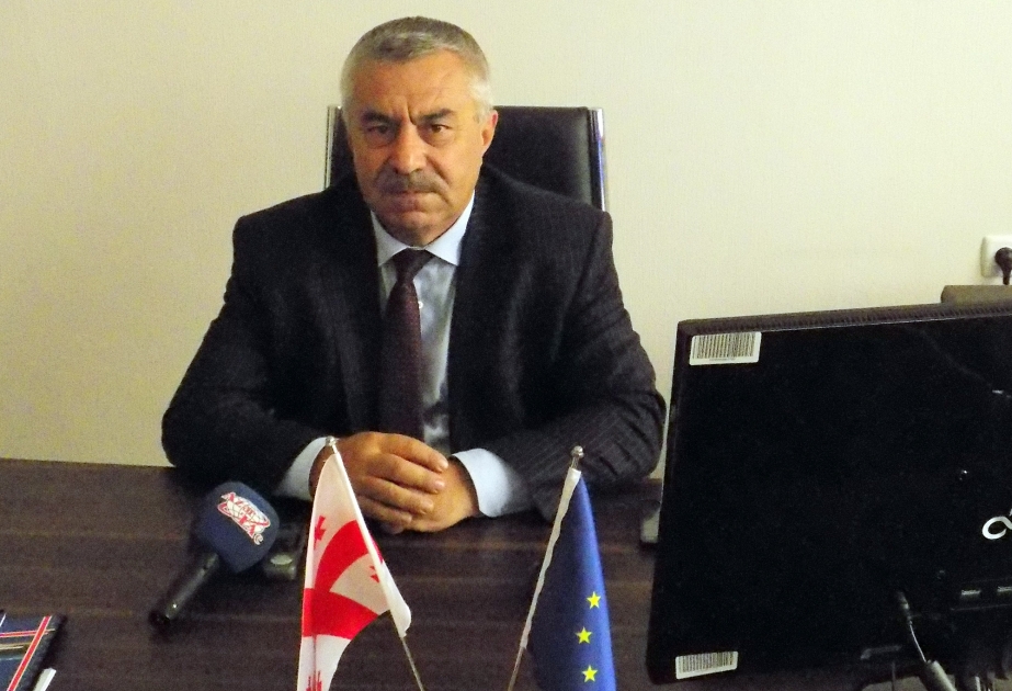 Gürcüstan parlamentinin deputatı: Azərbaycanda seçkilərin tam demokratik keçəcəyinə inanıram