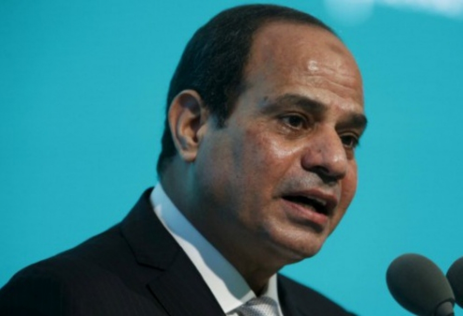 Президент Египта подвергает критике версию теракта в крушении российского лайнера
