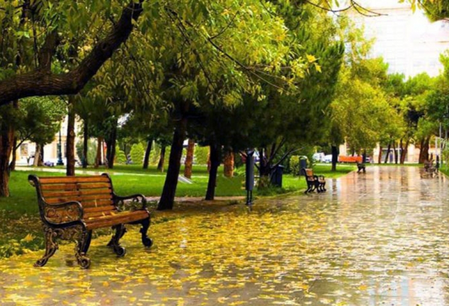 Sabahın hava proqnozu