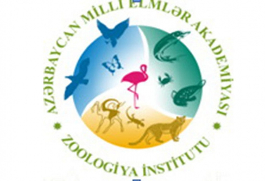 Zoologiya İnstitutunda AMEA-nın 70 illiyinə həsr olunan nəşrlər hazırlanıb
