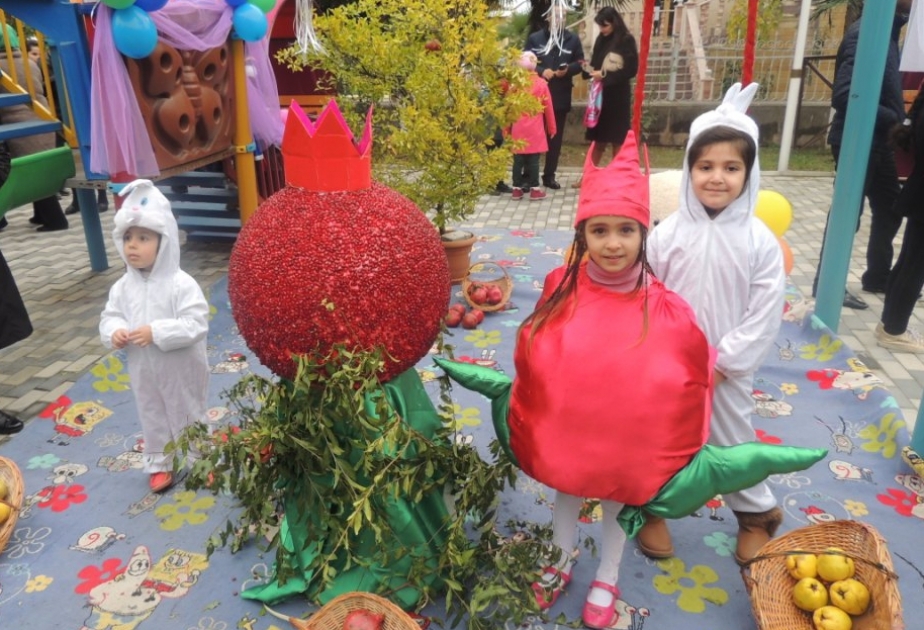 لوحات فنية من البذور في عيد الرمان