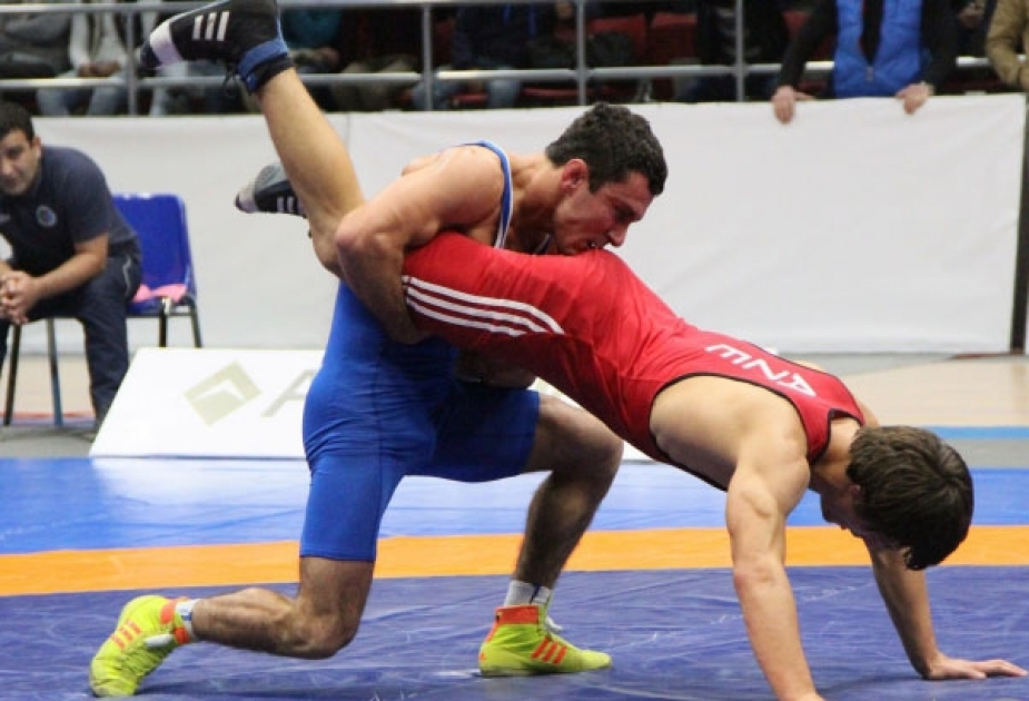 منافسة رياضيين أذربيجانيين شباب للمصارعة الحرة في فلاديكافكاز