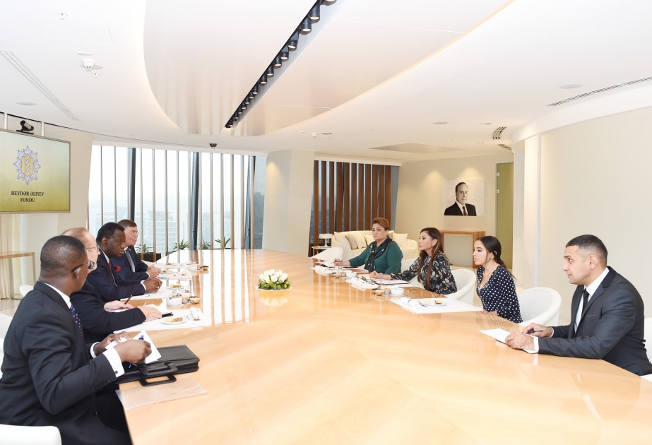 السيدة الأولى لأذربيجان تلتقي المدير التنفيذي لصندوق السكان الأممي
