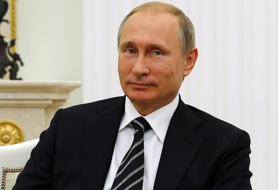 Putin says Turkish Stream requires elaboration